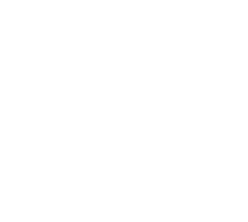 Dancing Bull Wealth Management
